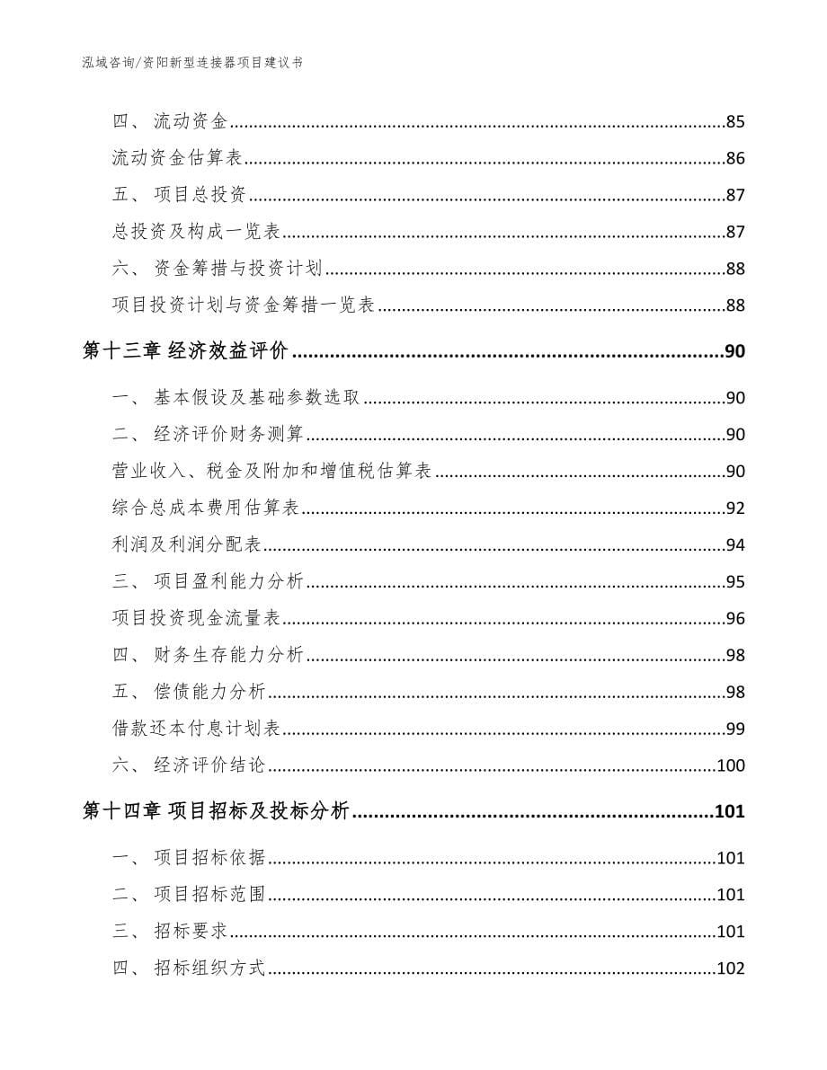 资阳新型连接器项目建议书_范文模板_第5页