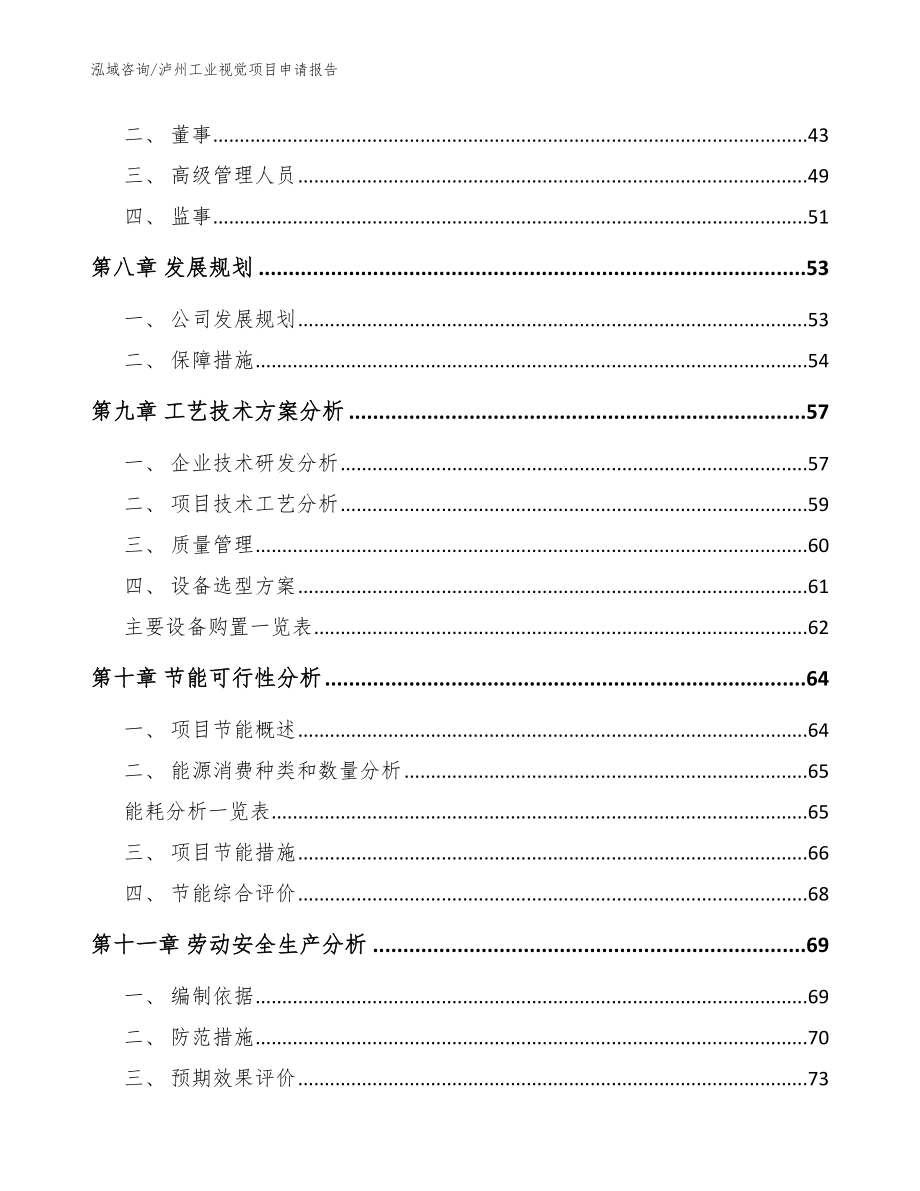 泸州工业视觉项目申请报告范文模板_第4页