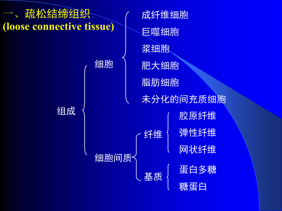 结绨组织-与--软骨课件_第4页