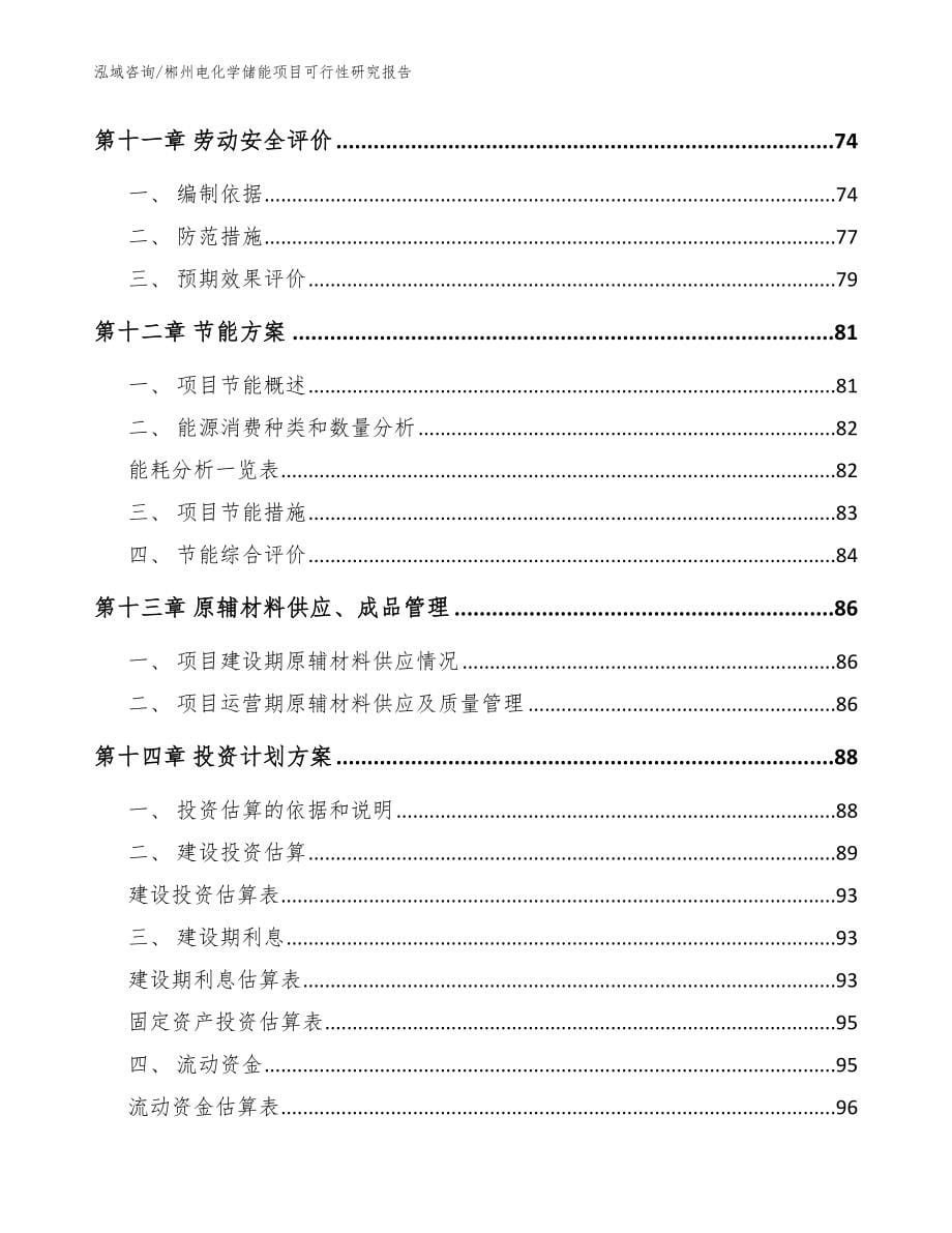 郴州电化学储能项目可行性研究报告【范文模板】_第5页