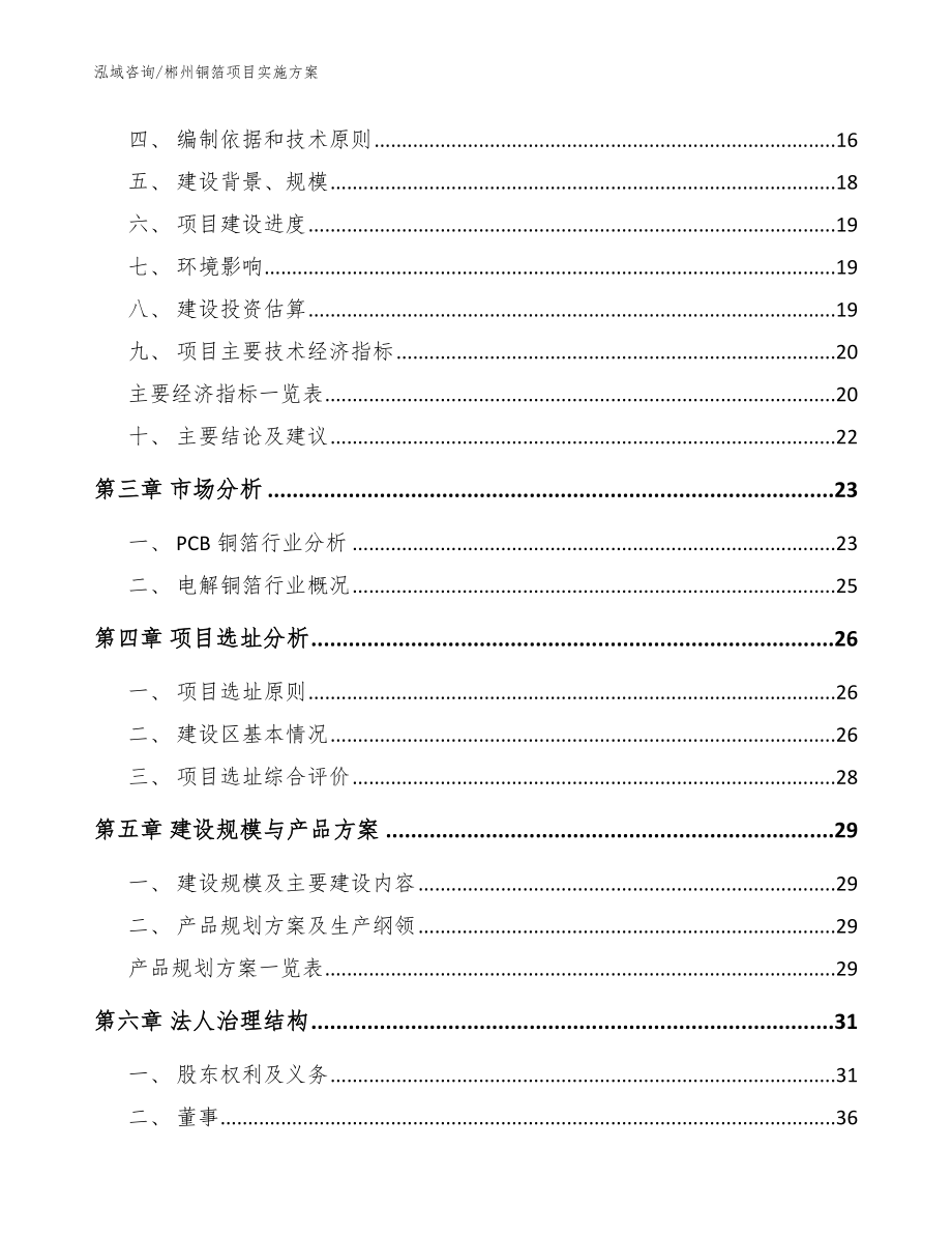 郴州铜箔项目实施方案【范文参考】_第2页