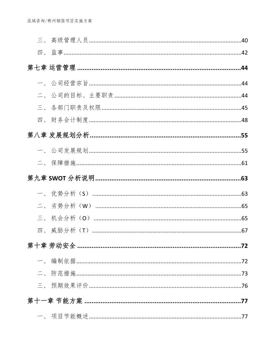 郴州铜箔项目实施方案【范文参考】_第3页