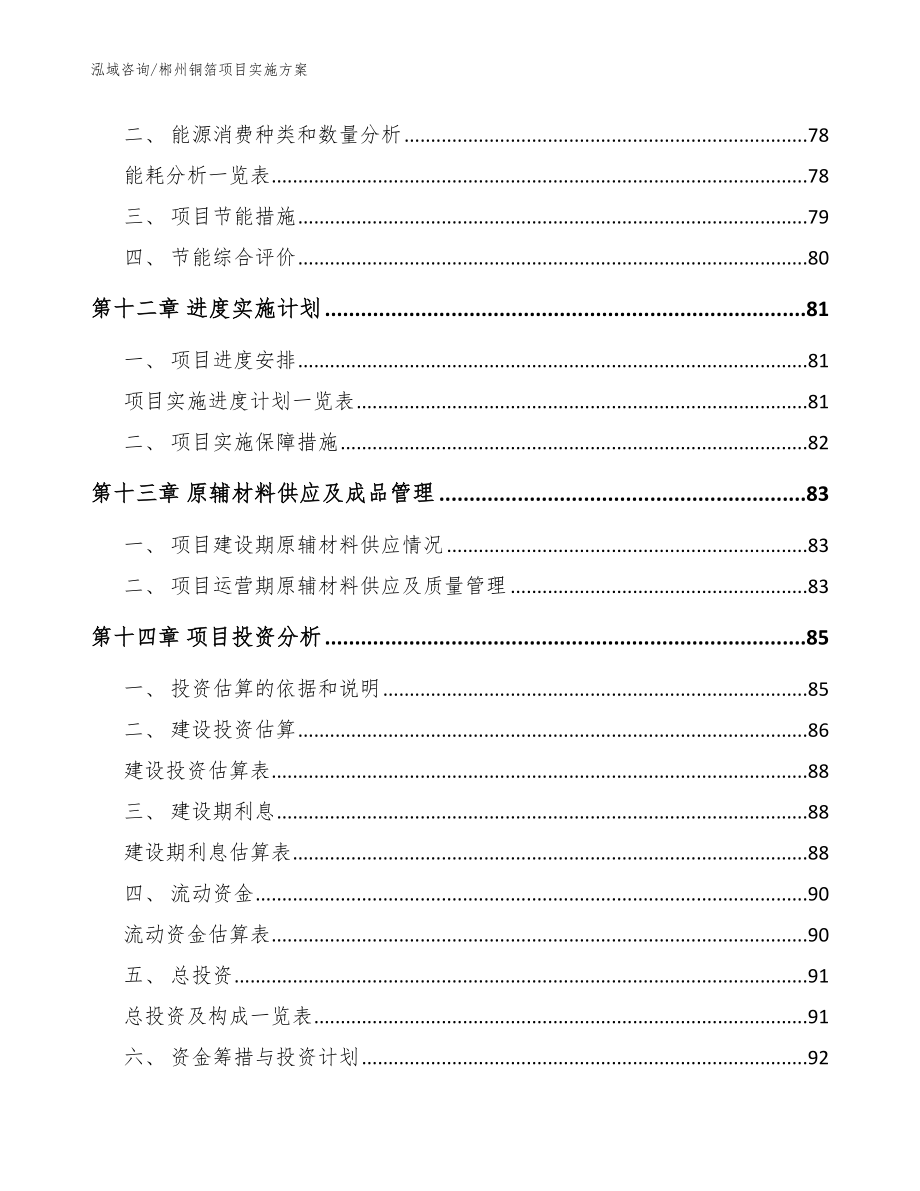 郴州铜箔项目实施方案【范文参考】_第4页