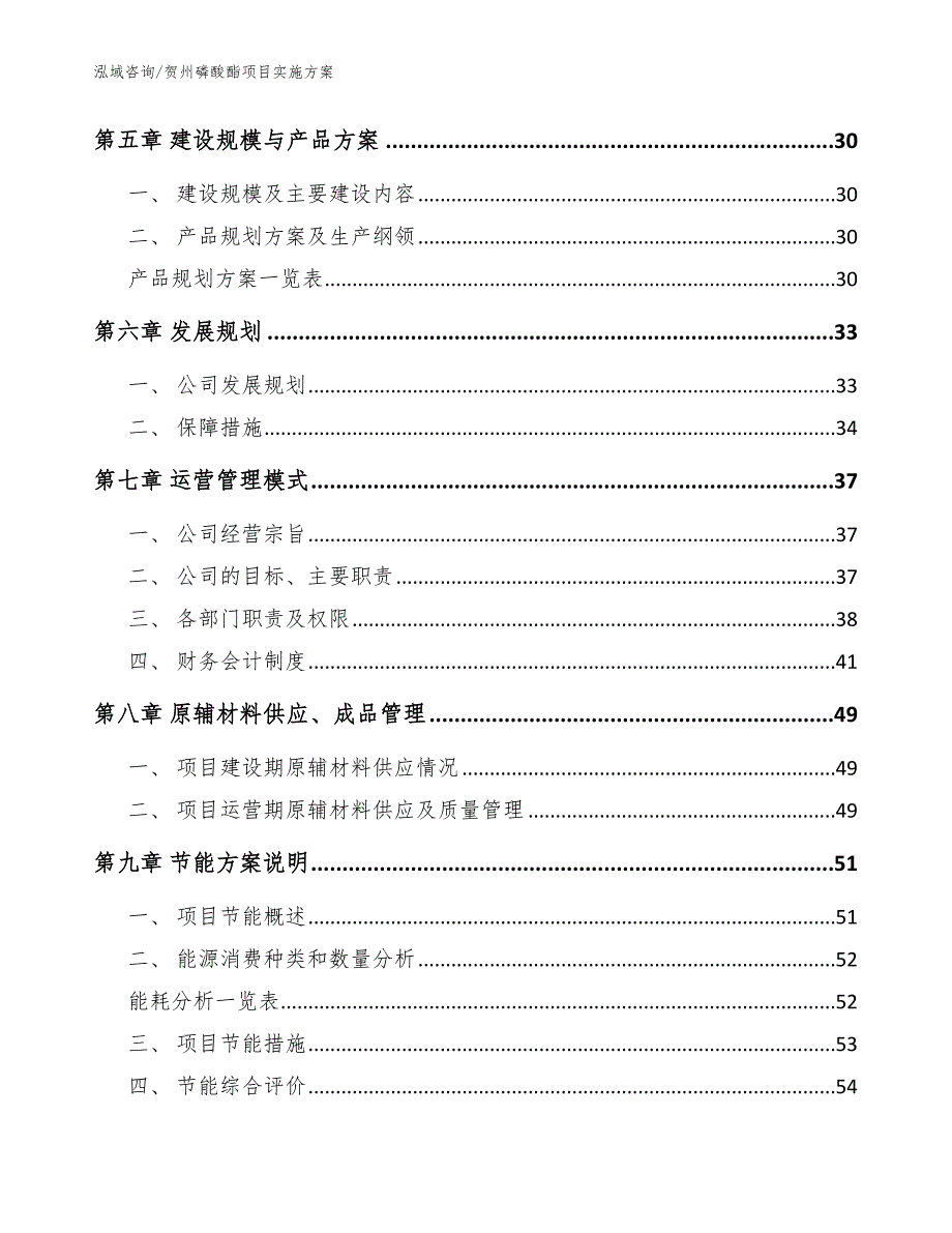 贺州磷酸酯项目实施方案（模板参考）_第2页