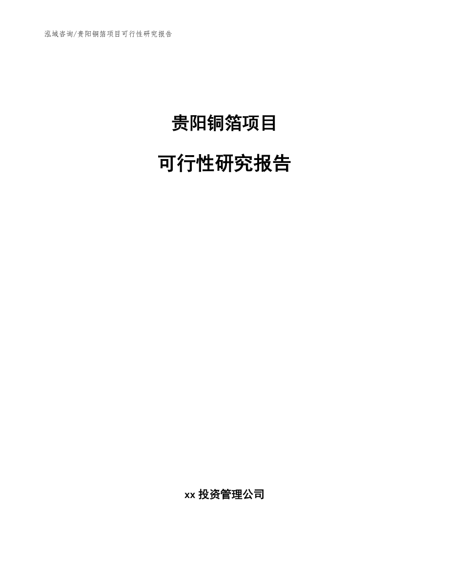 贵阳铜箔项目可行性研究报告模板范本_第1页