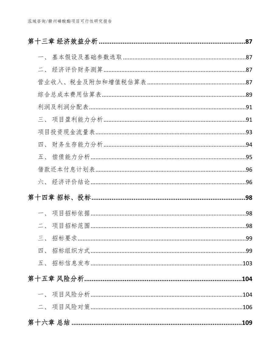 赣州磷酸酯项目可行性研究报告【模板】_第5页