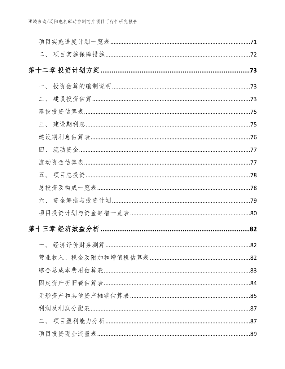 辽阳电机驱动控制芯片项目可行性研究报告（参考范文）_第4页