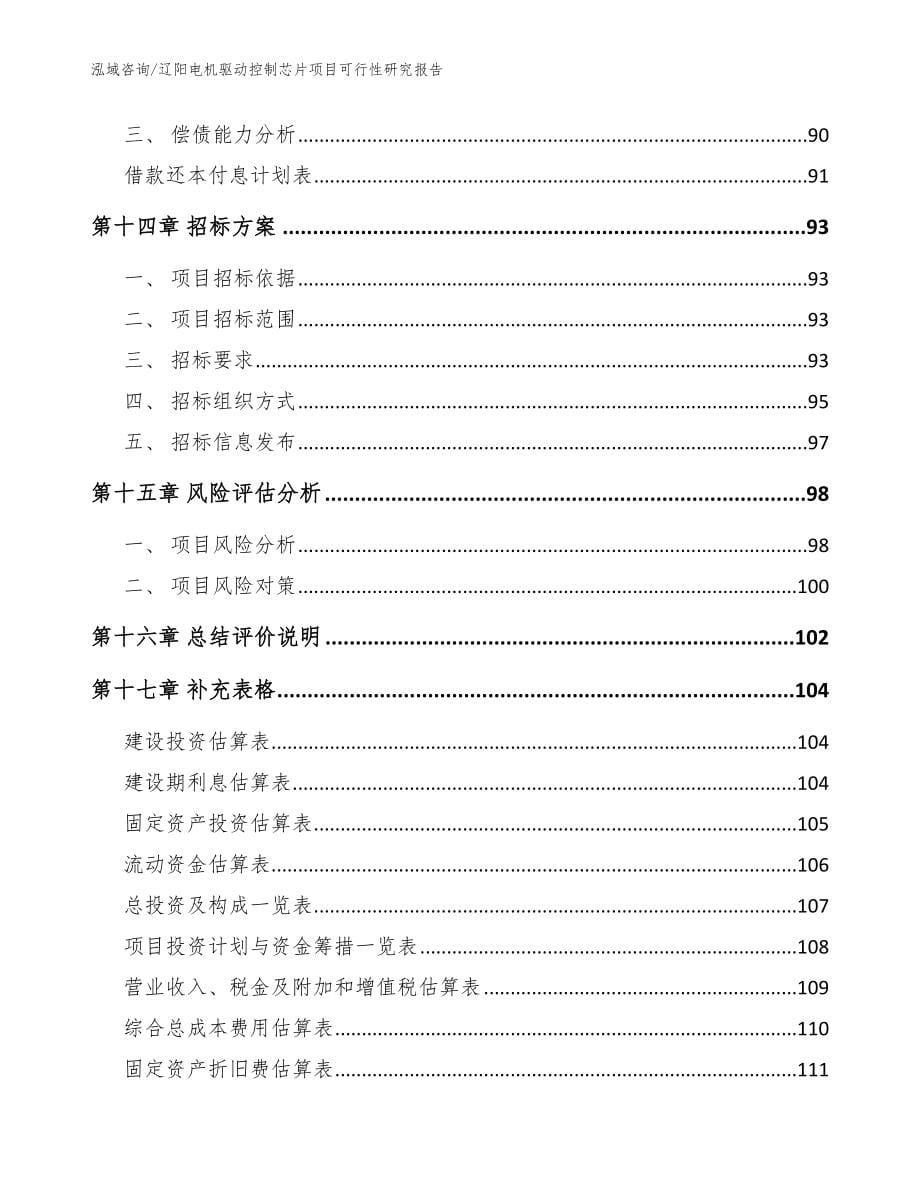 辽阳电机驱动控制芯片项目可行性研究报告（参考范文）_第5页