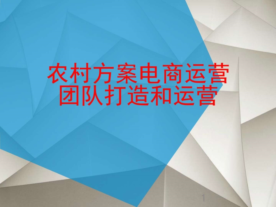 农村乡村电子商务运营专题培训课件PPT_第1页