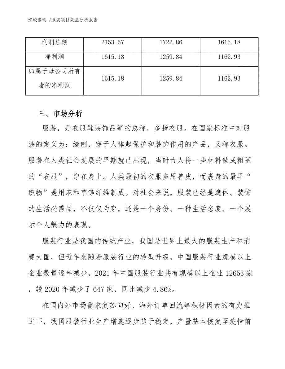 服装项目效益分析报告（范文模板）_第5页