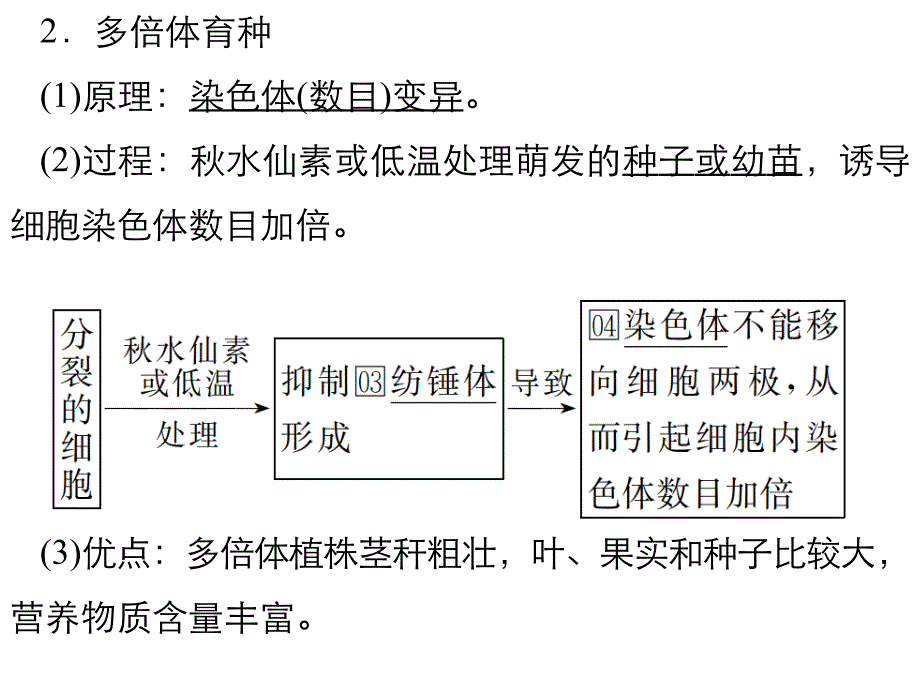 高三生物一轮复习课件： 染色体变异染色体变异在育种上的应用_第4页