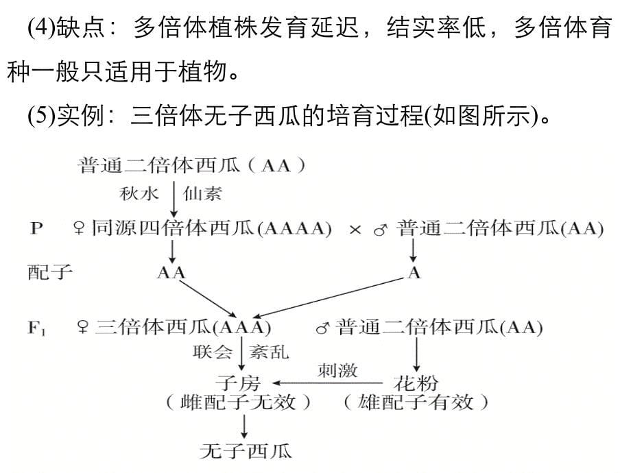 高三生物一轮复习课件： 染色体变异染色体变异在育种上的应用_第5页