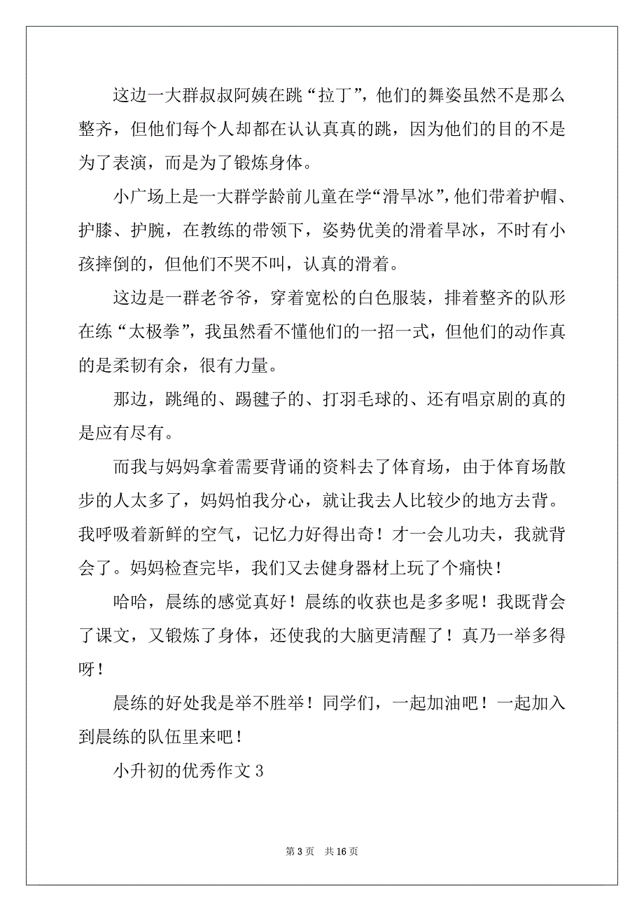 2022年小升初的优秀作文范文（精选12篇）_第3页