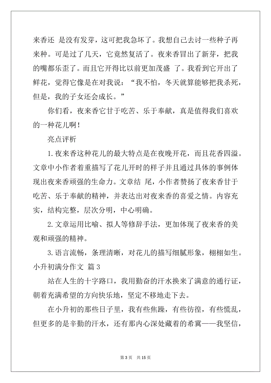 2022年小升初满分作文汇总九篇范本_第3页