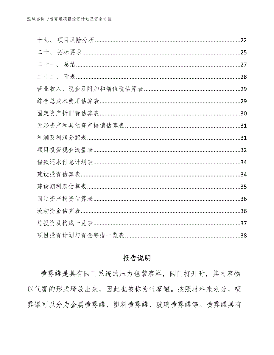 喷雾罐项目投资计划及资金方案（模板范文）_第2页