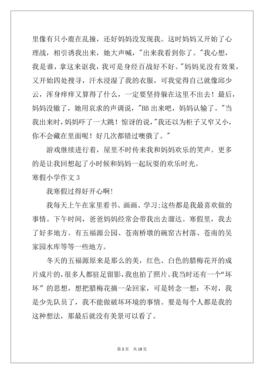 2022年寒假小学作文范本_第3页