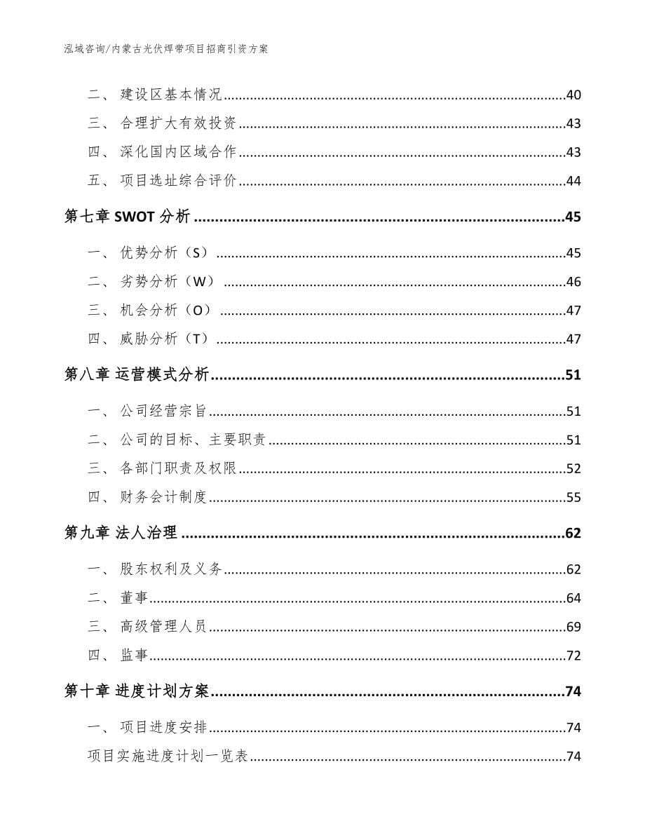 内蒙古光伏焊带项目招商引资方案模板范本_第5页