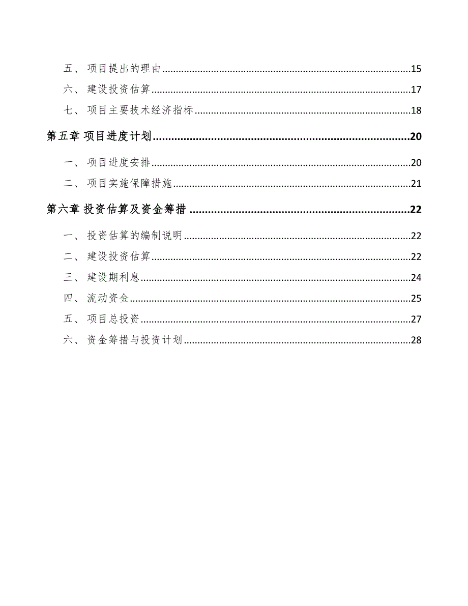 电动车项目合作战略方案（范文）_第2页