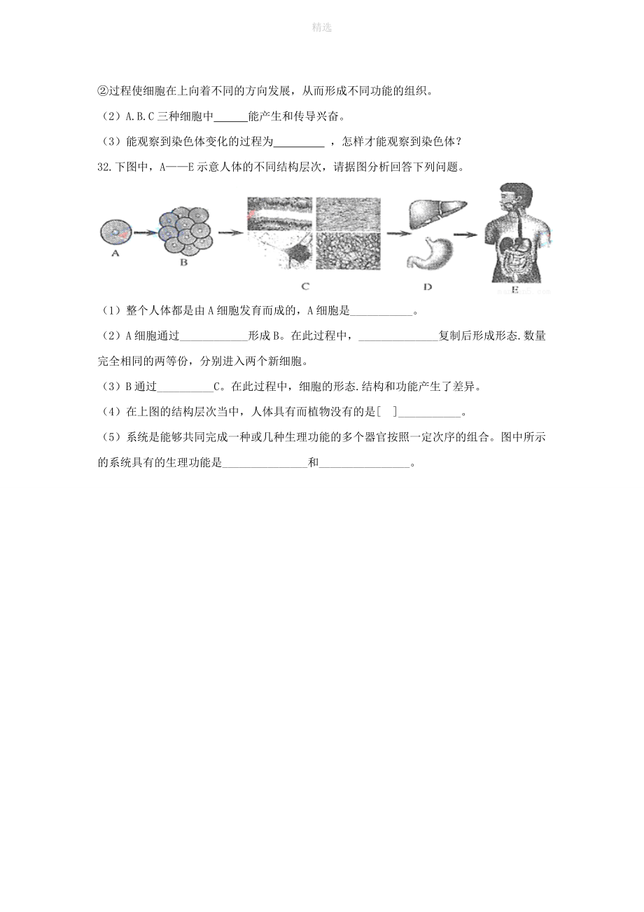 七年级生物上册第2单元生物体的结构第4章生物体的结构层次同步练习（新版）北师大版_第4页