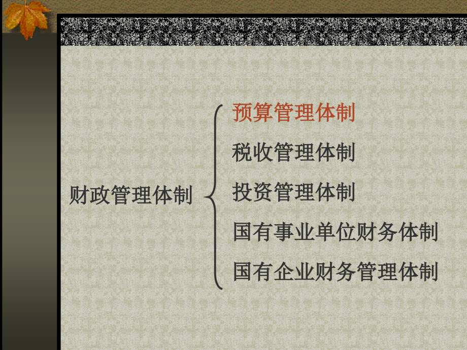 国家预算和预算管理体制概述(powerpoint 74页)_第3页