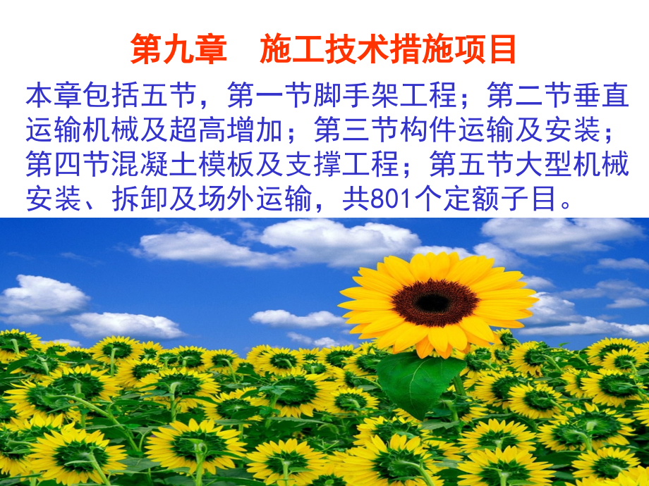 大学预算脚手架工程(powerpoint 74页)_第4页