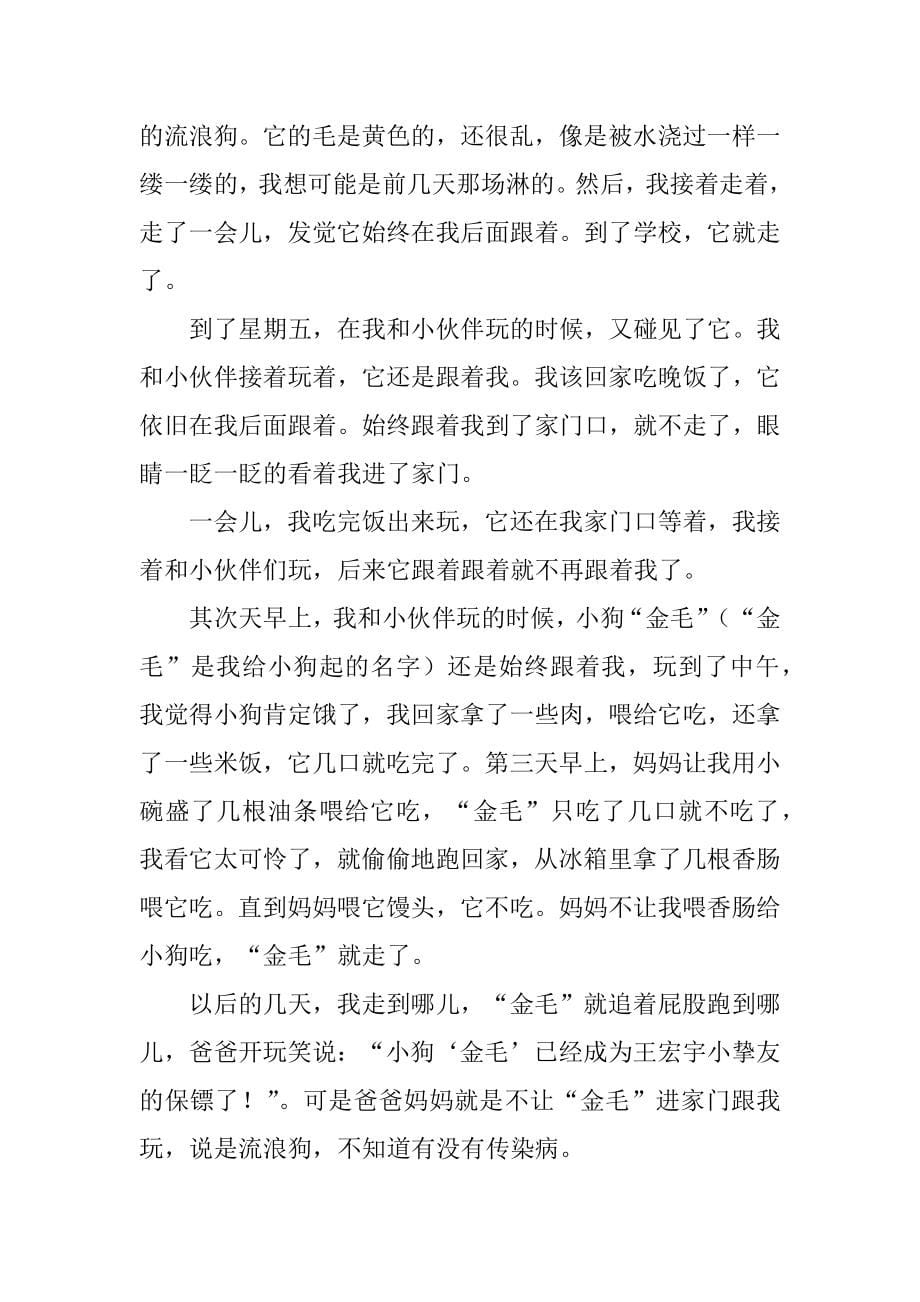 2022实用的流浪狗作文600字4篇_第5页