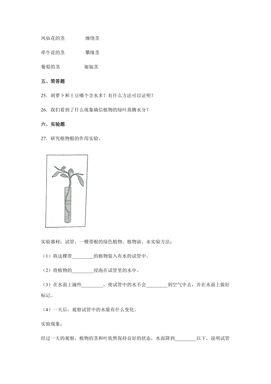 教科版（2017秋）四年级科学下册第一单元植物的生长变化过关检测卷A（含答案）_第3页