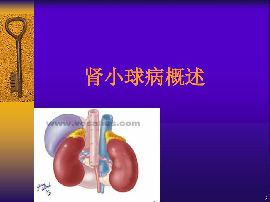 内科学课件：肾小球疾病2015_第3页