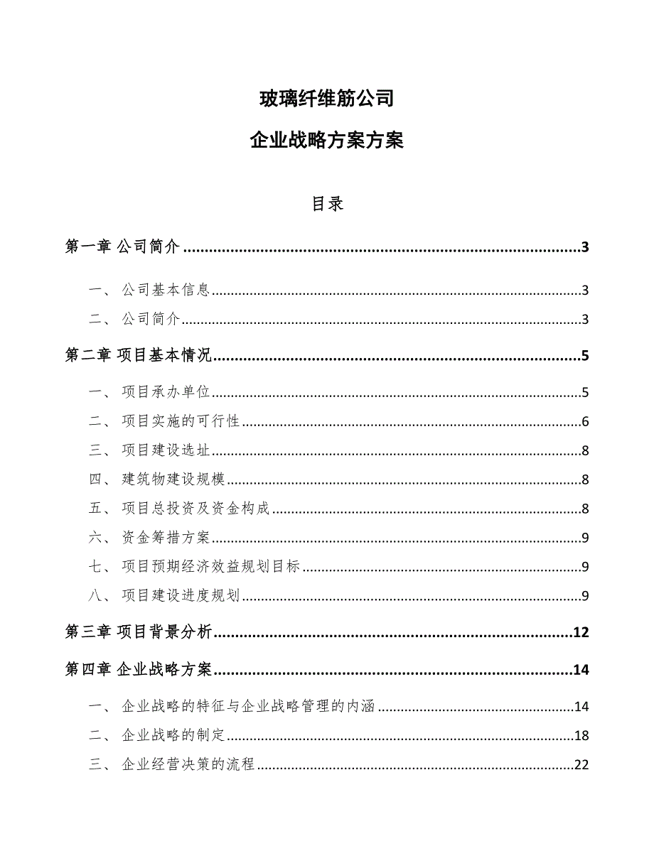 玻璃纤维筋公司企业战略方案方案（范文）_第1页