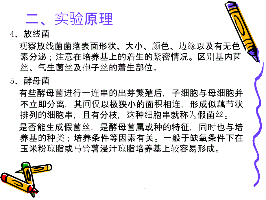 食品微生物学基础实验之微生物形态观察与[1]...PPT课件_第4页