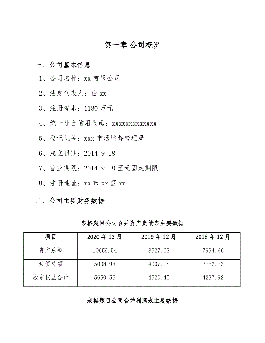 火锅调料项目工程咨询规划（范文）_第3页