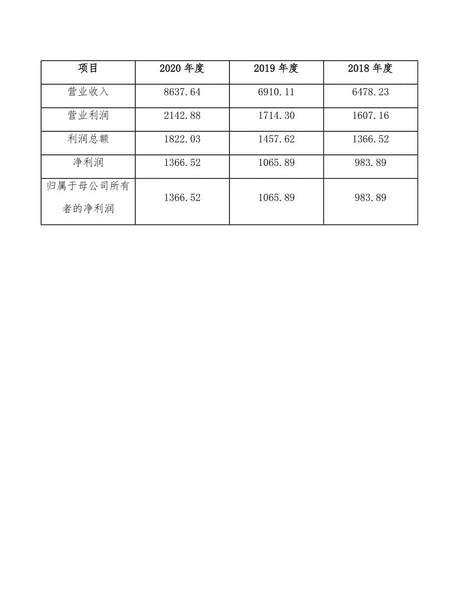 火锅调料公司竞争战略（参考）_第5页