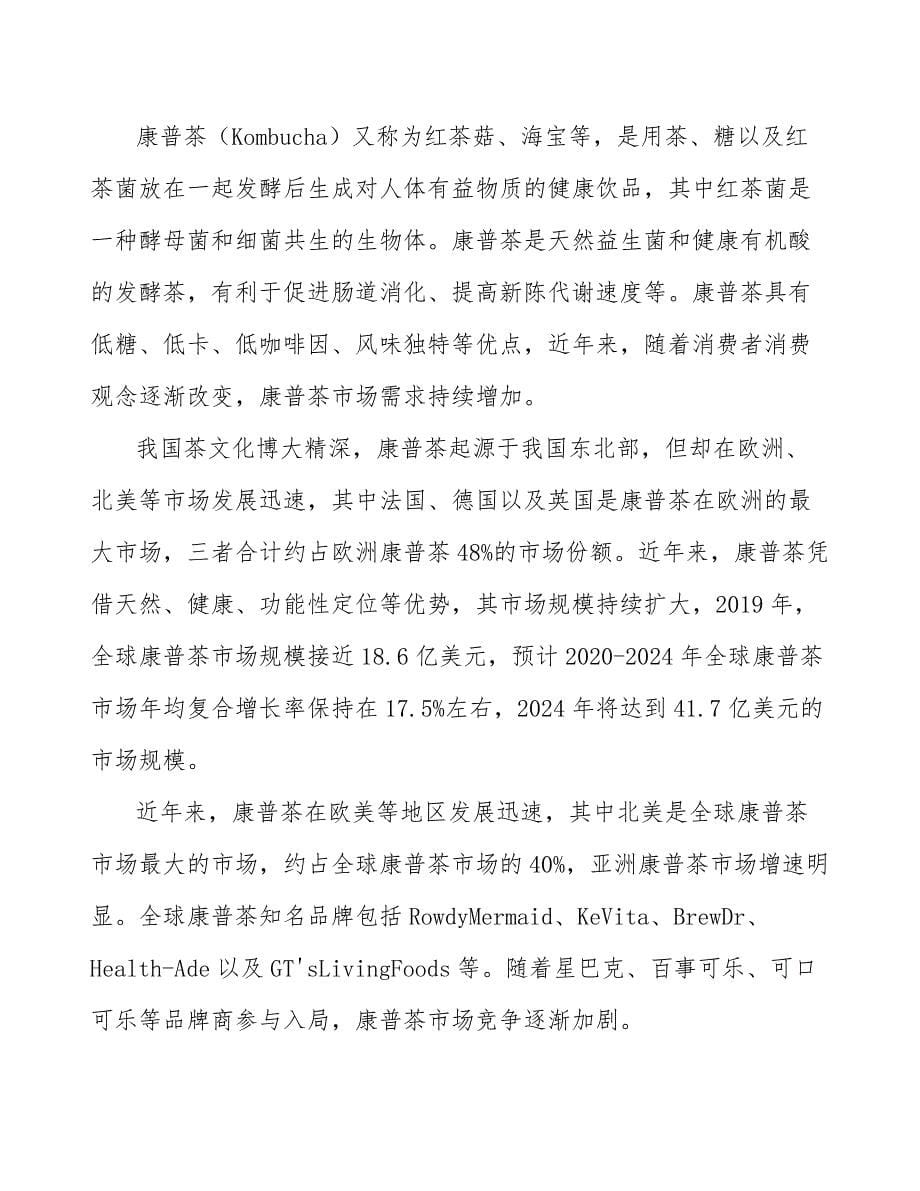 康普茶公司人员招聘与配置方案_范文_第5页