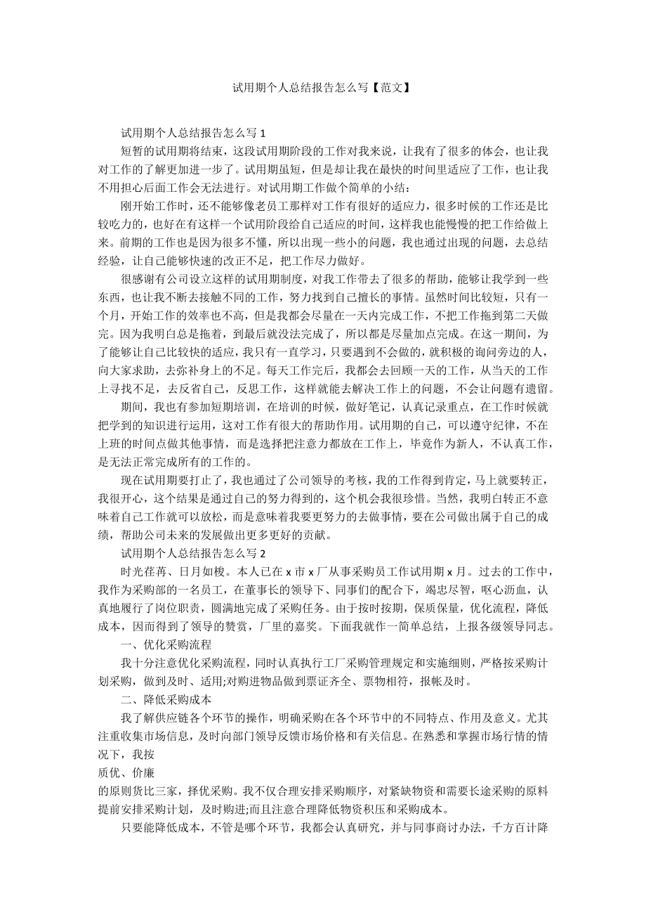 试用期个人总结报告怎么写【范文】_第1页