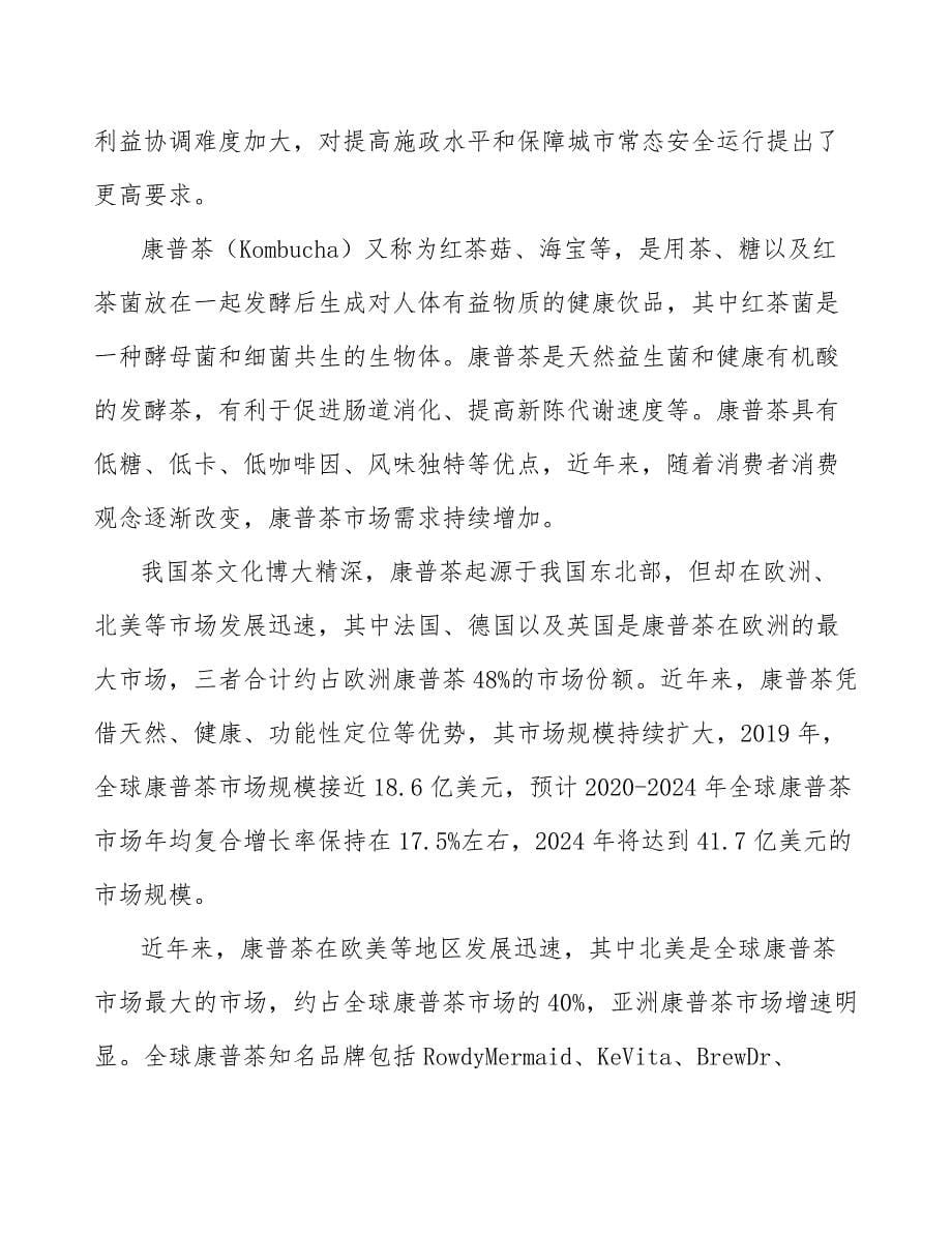 康普茶公司战略领导力方案_第5页