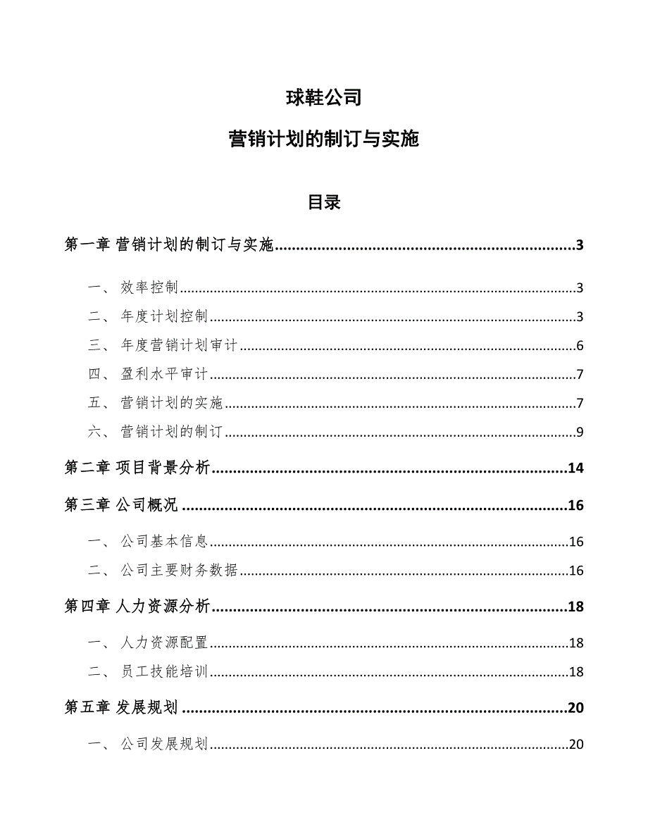 球鞋公司营销计划的制订与实施【范文】_第1页