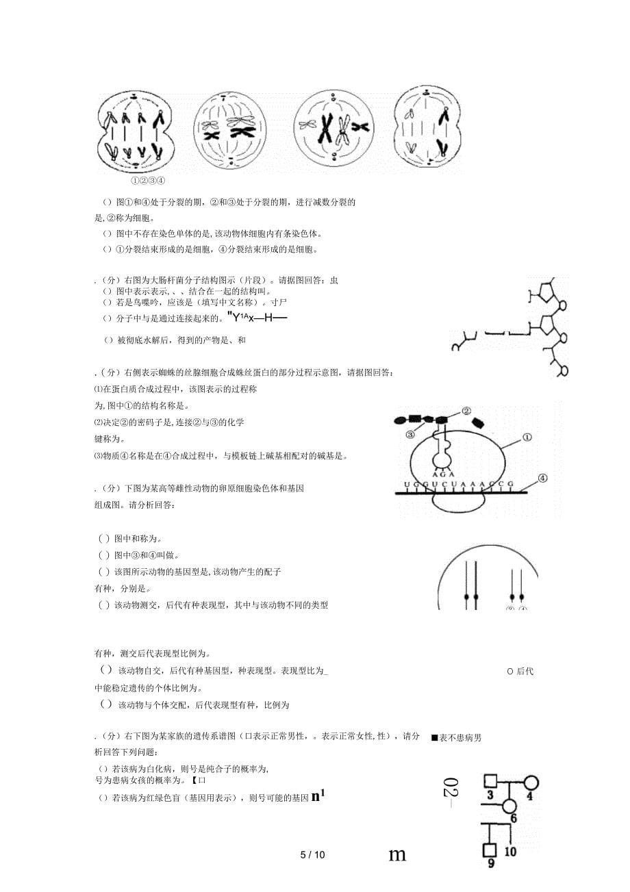 北京市朝阳区普通高中生物学科高二必修模块2试卷_第5页