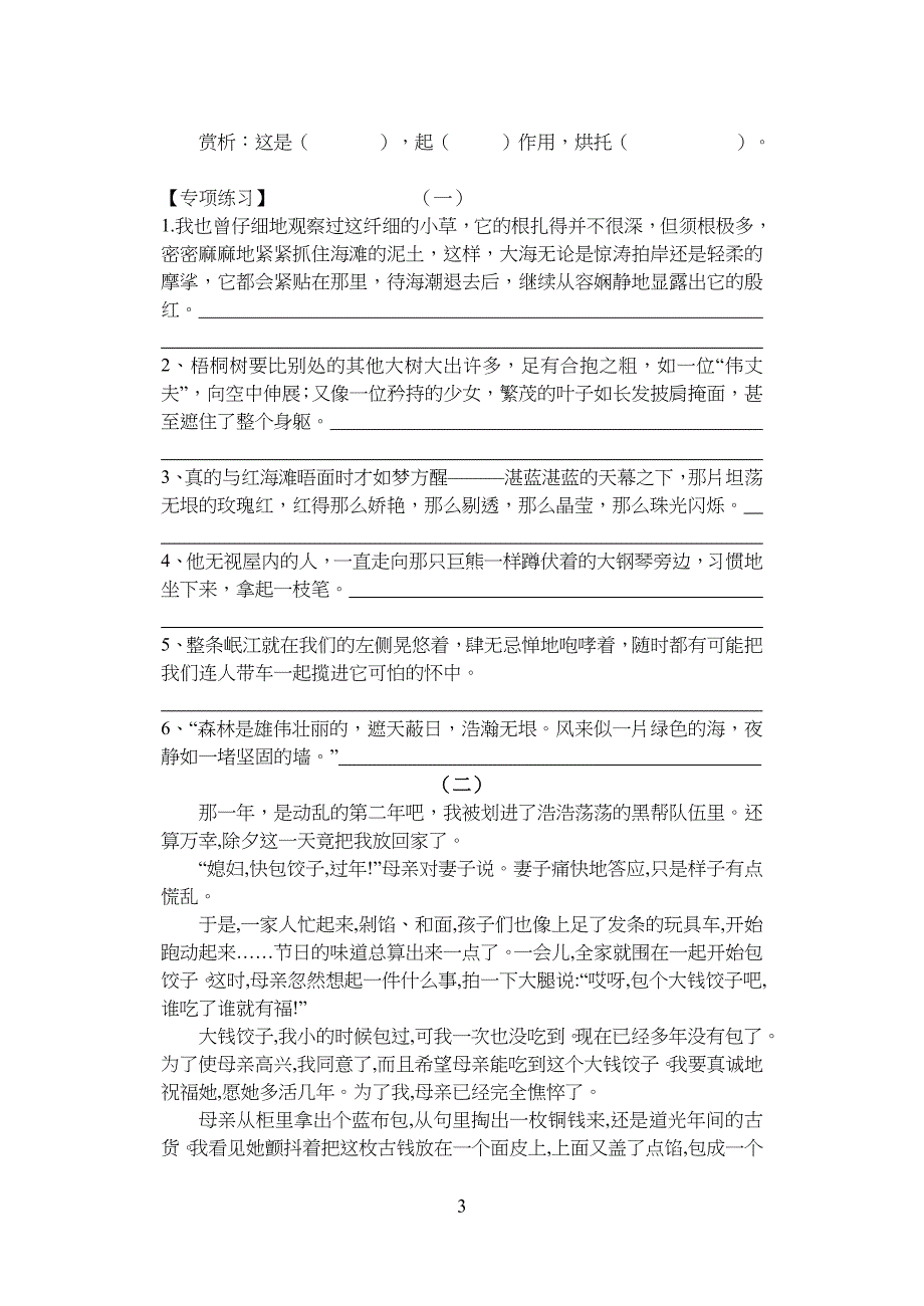 重点初中语文语句赏析技巧与训练_第3页