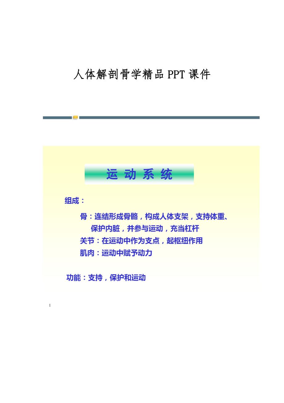 人体解剖骨学精品课件_第1页