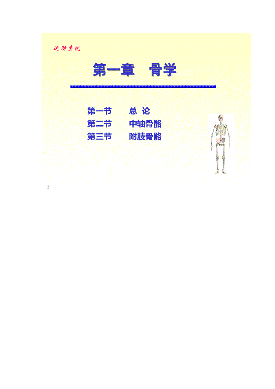 人体解剖骨学精品课件_第2页