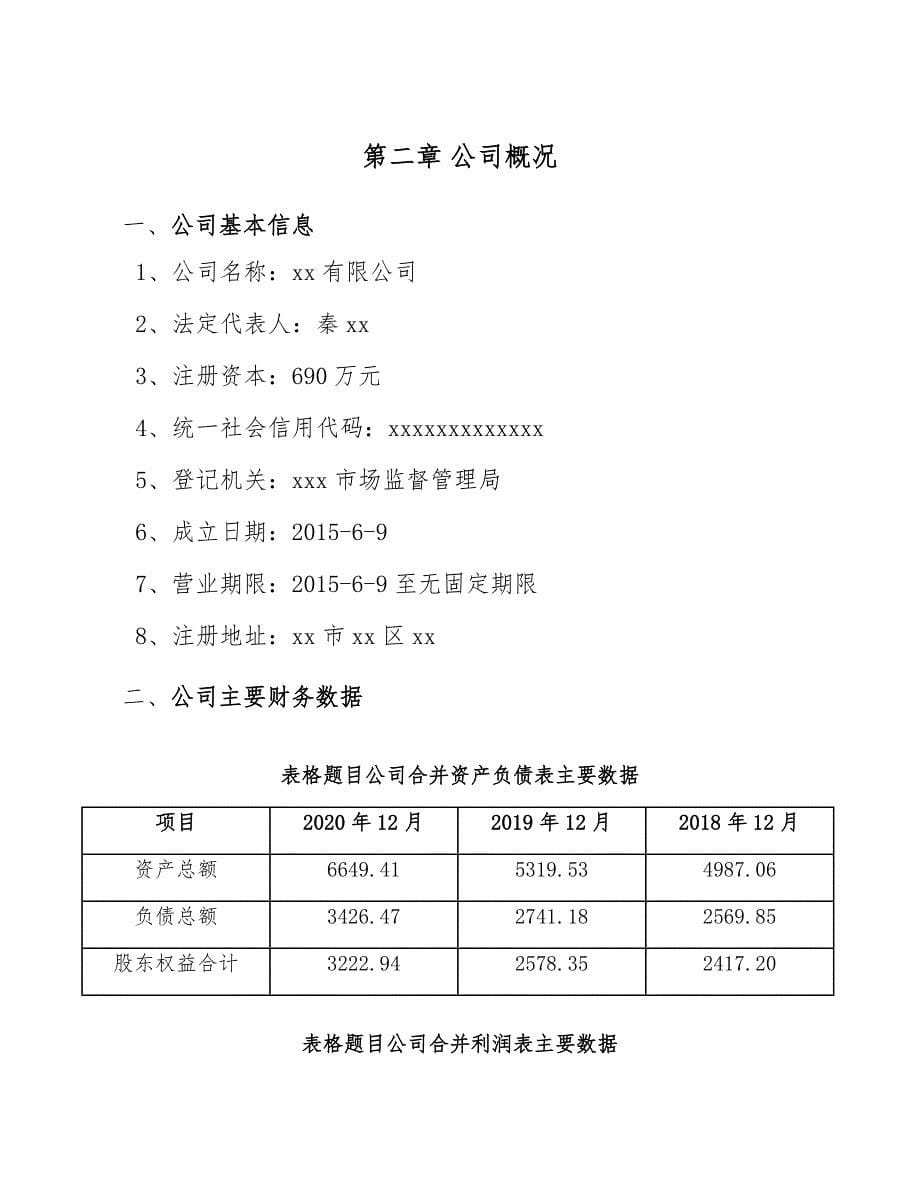 果胶酶项目现金管理方案_第5页