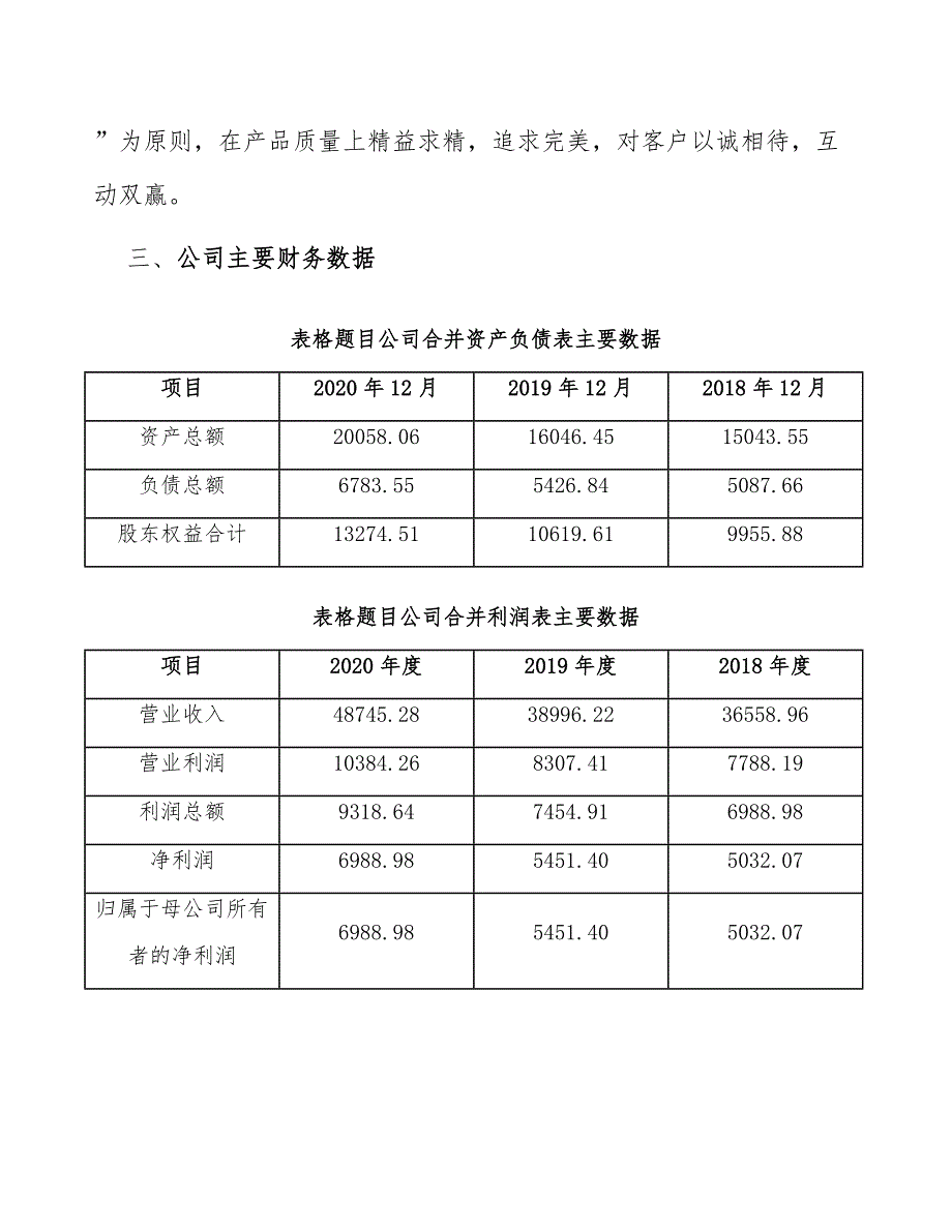 模拟芯片项目投资项目经济效果评价（参考）_第4页