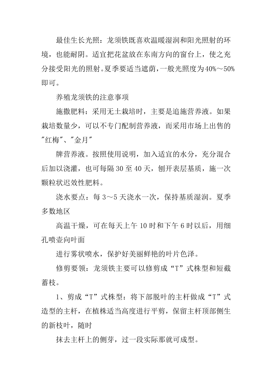 龙须铁的养殖方法和注意事项_第2页