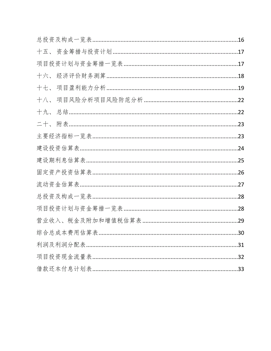 美瞳项目财务数据分析-（模板范文）_第2页