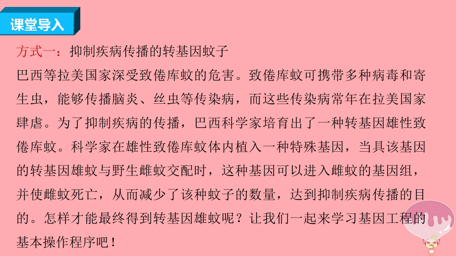 高中生物 专题1 细胞工程 1.2 基因工程的基本操作程序课件 新人教选修3_第3页