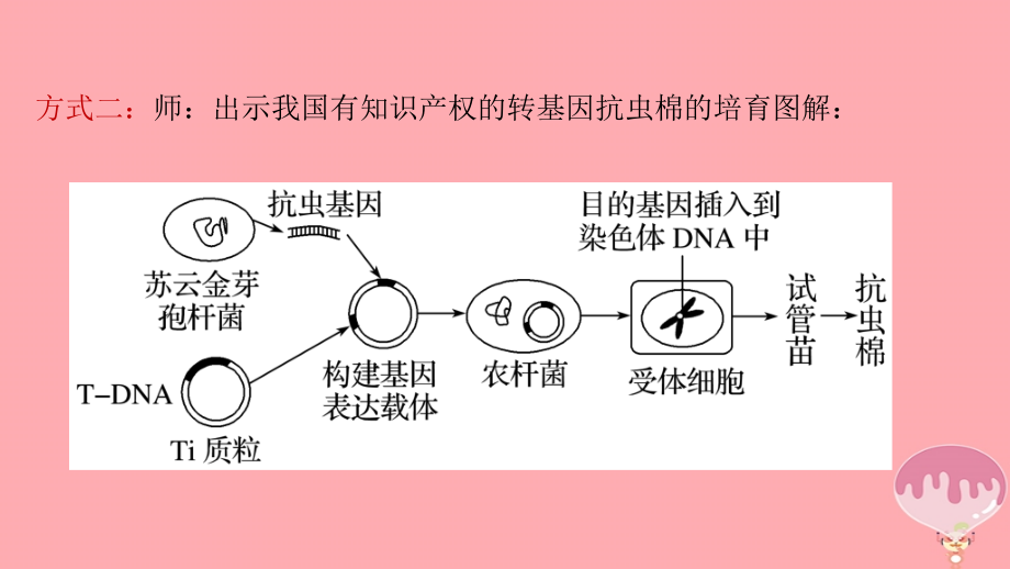 高中生物 专题1 细胞工程 1.2 基因工程的基本操作程序课件 新人教选修3_第4页