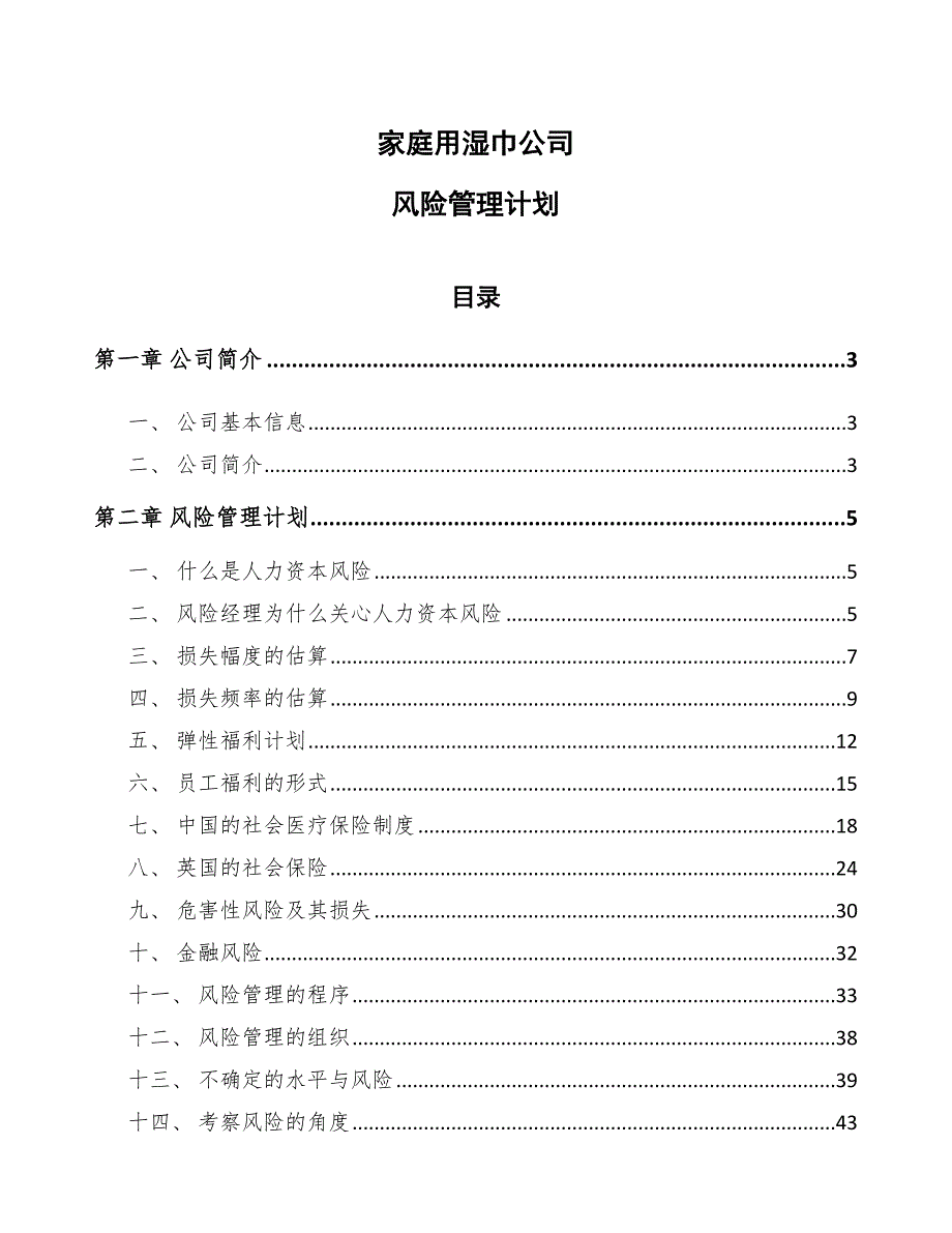 家庭用湿巾公司风险管理计划【范文】_第1页