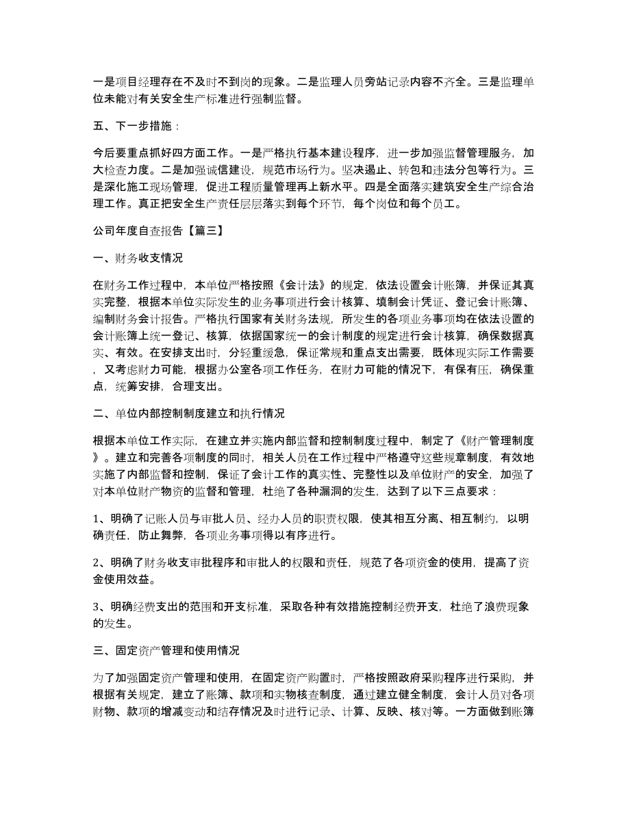 公司年度自查报告三篇_第4页