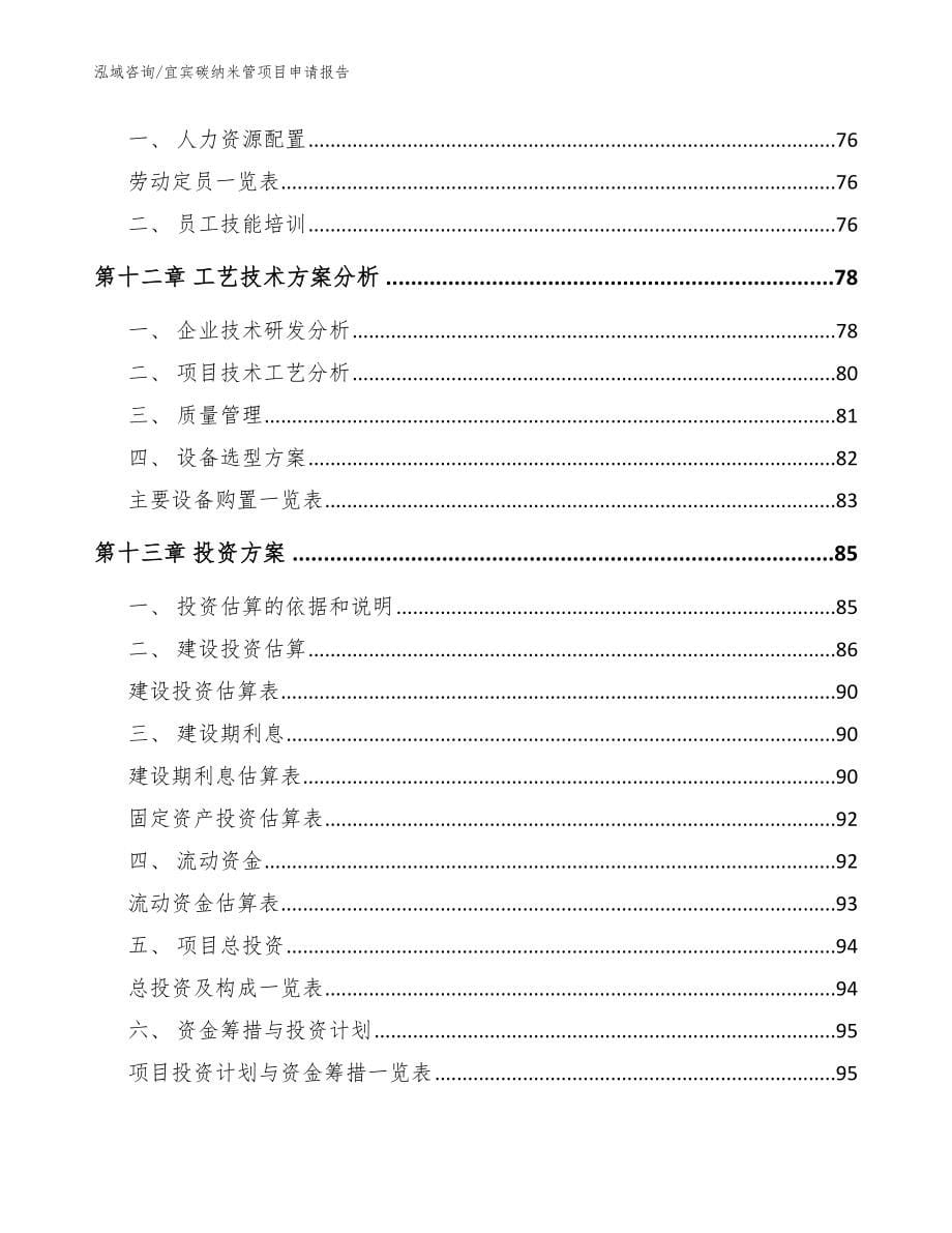 宜宾碳纳米管项目申请报告_范文_第5页