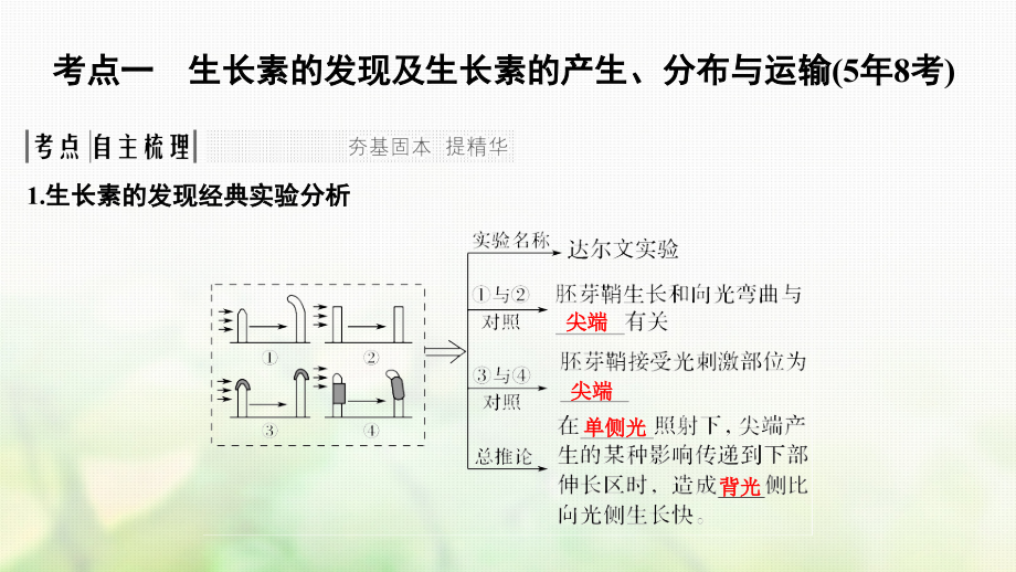 高考生物一轮复习 第八单元 生命活动的调节 第27讲 植物的激素调节课件_第2页